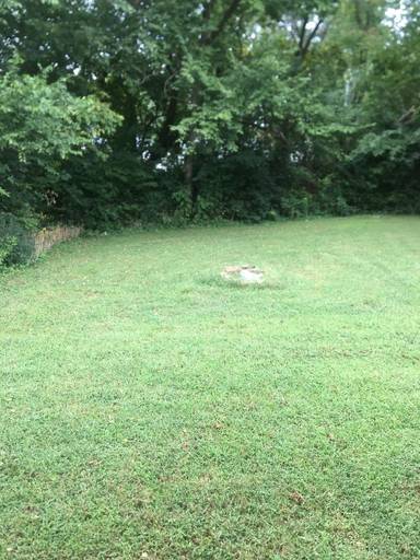 Main picture of 1312 E Farmers Dr