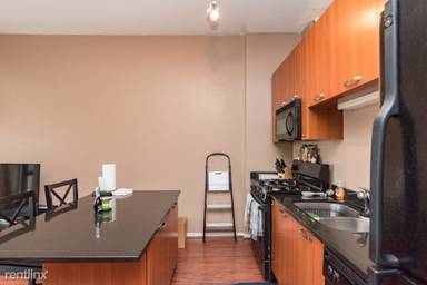 Main picture of 212 E. Cullerton Condos