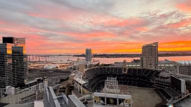 Main picture of ICON