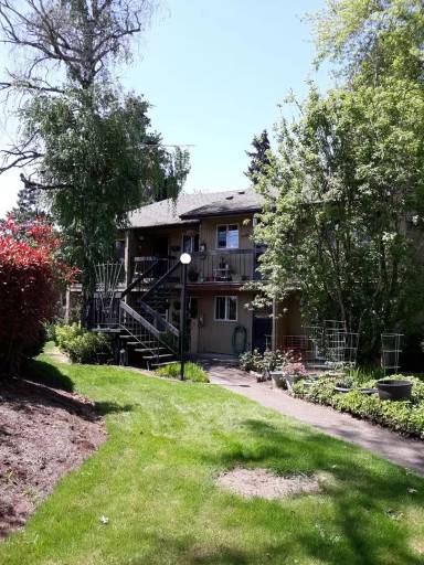 Main picture of Springtree Apartments