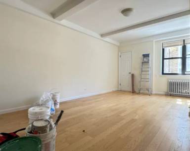 Main picture of The New Amsterdam