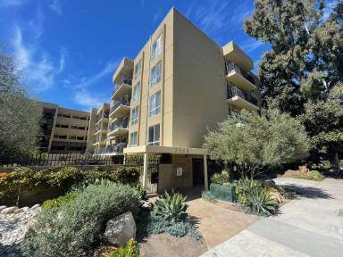 Main picture of 2568 Albatross St