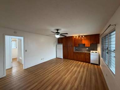 Main picture of Birch Dragon