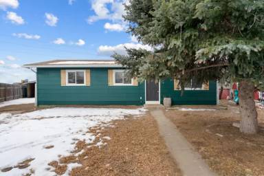 Main picture of 3736 Boxelder Ct
