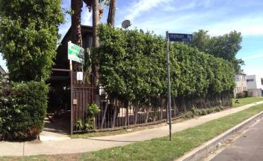 Main picture of 1326 N Citrus Ave