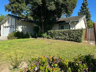 Main picture of 1118 Pusateri Way