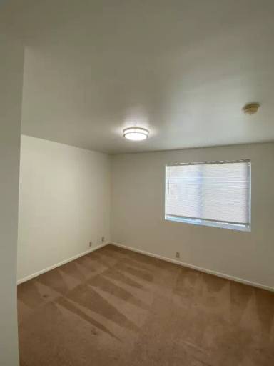 Main picture of 206 Silliman St