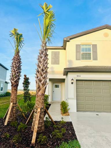 Main picture of 32111 Powderpuff Mimosa Dr