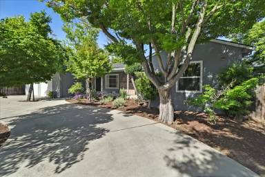 Main picture of 808 Pico Ln