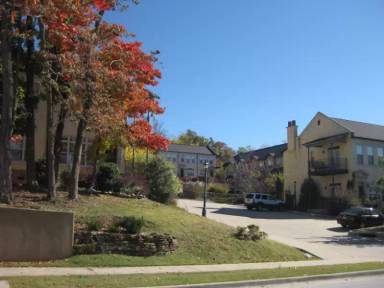 Main picture of Olive Avenue