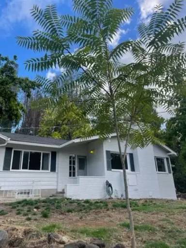 Main picture of 24040 Tokayana Way