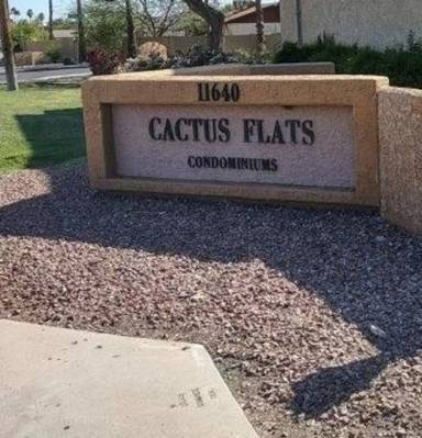 Main picture of Cactus Flats