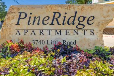 Main picture of Pine Ridge