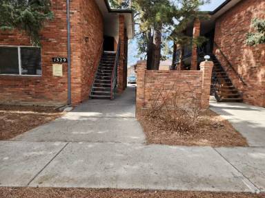 Main picture of 1329 Vivian St