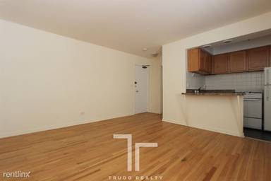 Main picture of 540 W Roscoe St