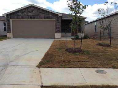 Main picture of 264 Mistflower