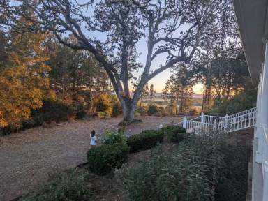 Main picture of 2000 Laguna Rd