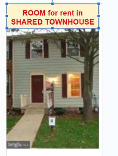 Main picture of 8288 Black Haw Ct