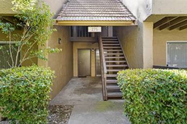 Main picture of 275 Tradewinds Dr
