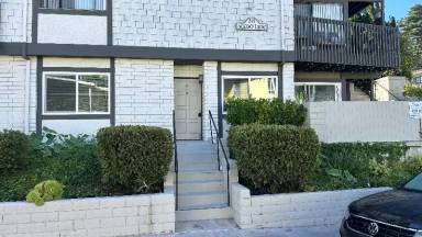 Main picture of 315 Acebo Ln