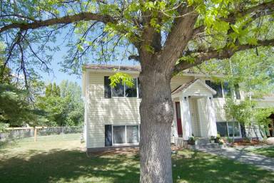 Main picture of 3557 Daleen St
