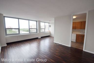 Main picture of 1700 East 56th Street Condo