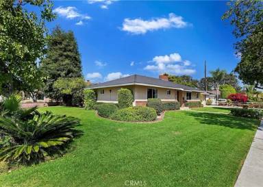 Main picture of 1265 E Live Oak Dr