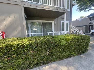 Main picture of 1572 Sunnyvale Ave