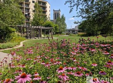 Main picture of 1225 LaSalle Condos