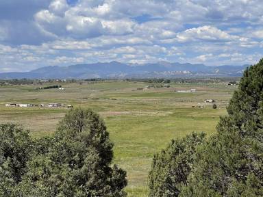 Main picture of 5095 County Road 311