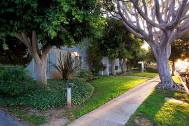 Main picture of 241 Avocado St