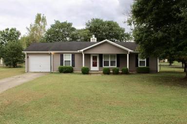 Main picture of 253 Frances Amelia Dr