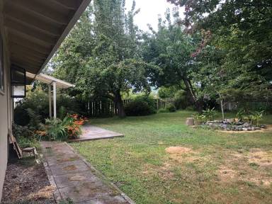 Main picture of 1164 Madrone Way