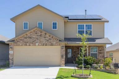 Main picture of 13339 Sugarberry Elm
