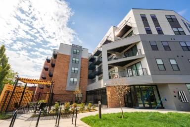 Main picture of The Ellis