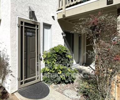 Main picture of 240 Chinquapin Ave