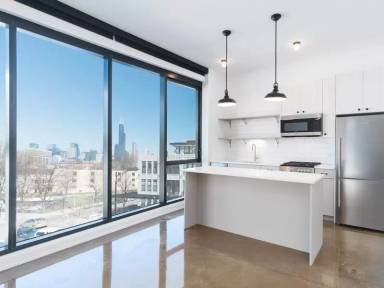 Main picture of 1501 S Blue Island Ave