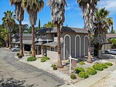 Main picture of 835 Palomino Dr