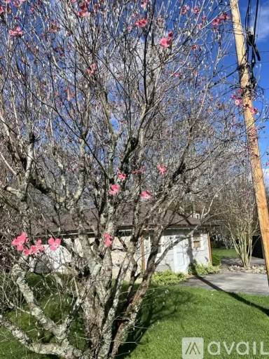Main picture of 126 Park Ct & 289 Shenandoah Dr