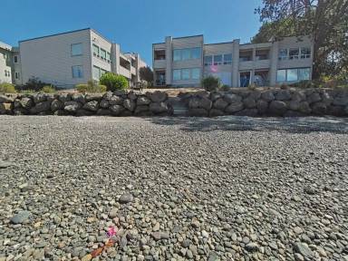 Main picture of 1115 Wheaton Way