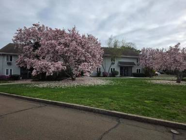 Main picture of 103 Florence Rd