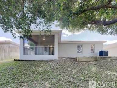 Main picture of 100 China Berry Cir