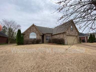Main picture of 325 Mossy Springs Dr