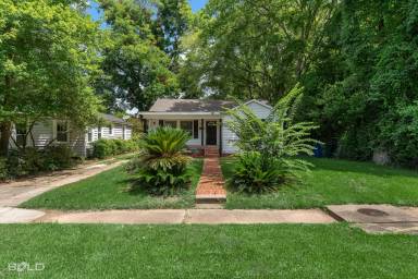 Main picture of 424 Slattery Blvd