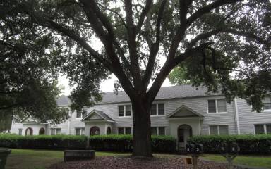 Main picture of 20 Warren Ct
