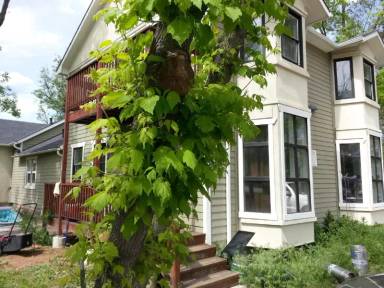 Main picture of 2512 Mapleton Ave