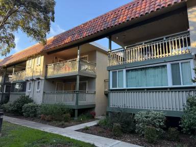 Main picture of 219A Kiely Blvd