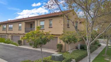 Main picture of 72 Tulip