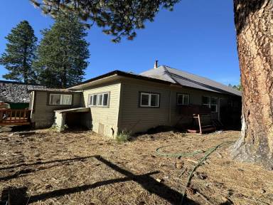 Main picture of 516 Shasta Ave