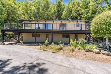 Main picture of 24 El Rey Rd